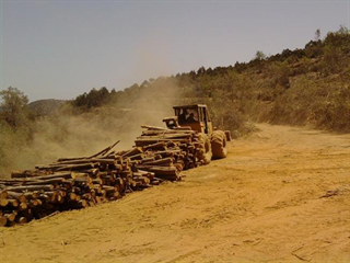 Trabajos Forestales